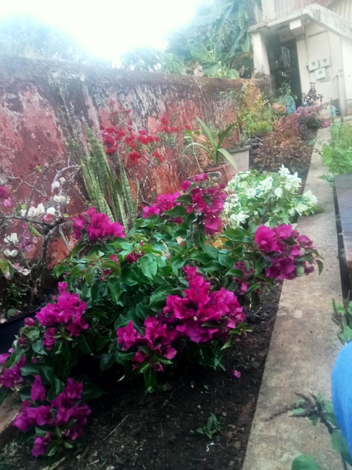 Eshwarkrupa Homestay Madikeri Dış mekan fotoğraf